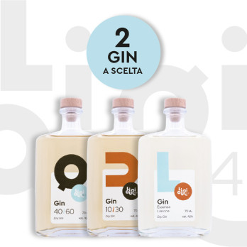 2 Gin - Liquorificio 4.0